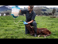 Trusti Pasteur and Colostrum Bags For Optimum Colostrum Management