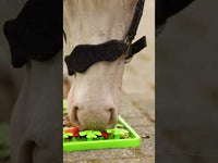 Excellent Horse Snuffle Mat
