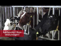 Calbal Plus (NL)