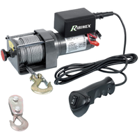 Ribimex PE12V/2500 accu lier | Rabe