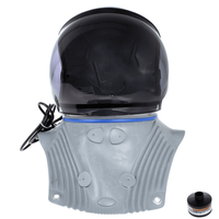 Spring Protezione Standard Multifilter beschermhelm met aangeblazen lucht, anatomisch borststuk | Rabe