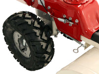 Eurosystems P 70 EVO wielmaaier 64 cm, motor Loncin 224 OHV, detail 12