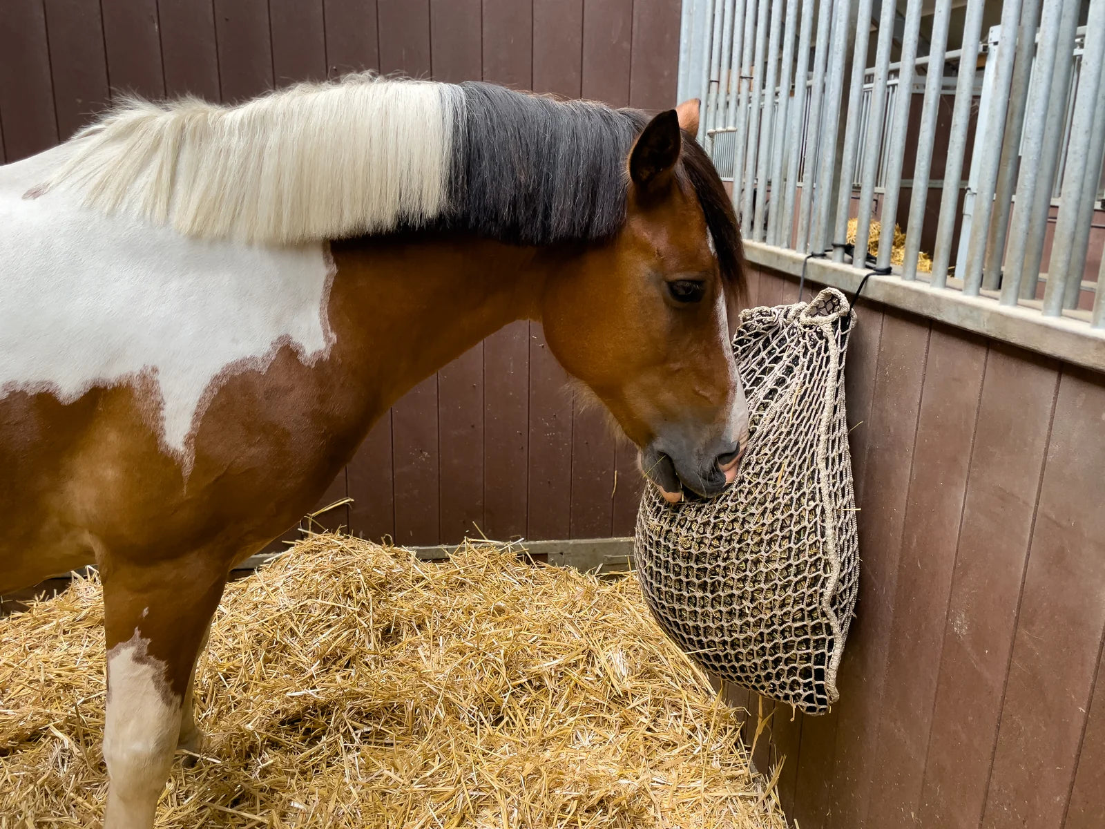 Pony eet uit een hooinet in de stal