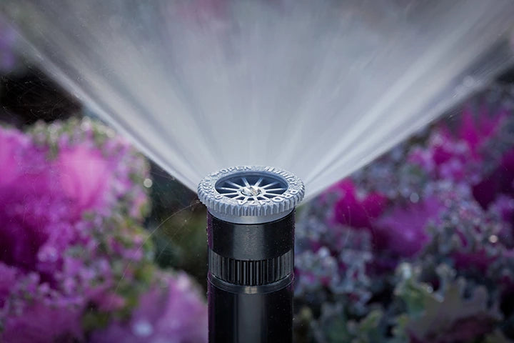 Nevelsproeier vernevelt water boven een border met bloemen