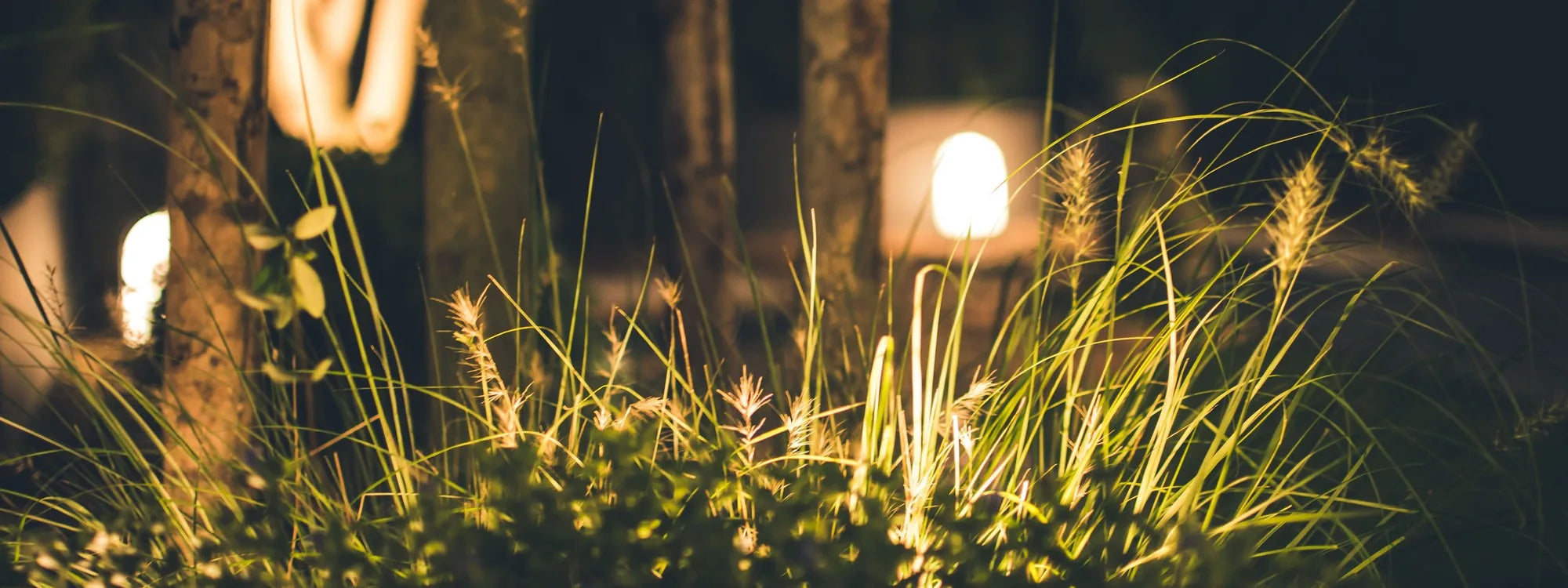 Beleuchtete Gräser und Gartenleuchten am Abend