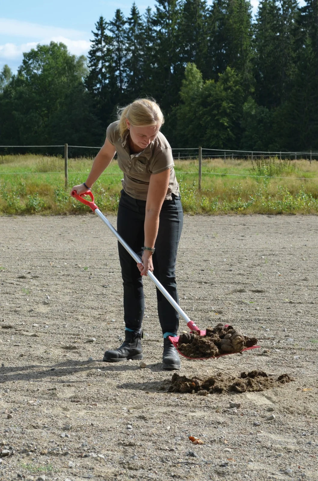 Paddock uitmesten met mestschep